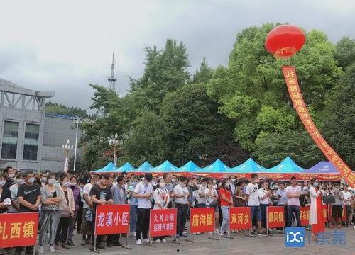 东莞大岭山爆料新闻事件,真相与影响揭秘 第1张 东莞大岭山爆料新闻事件,真相与影响揭秘 第1张